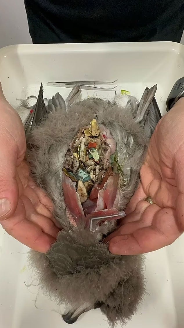 plastik atıklar